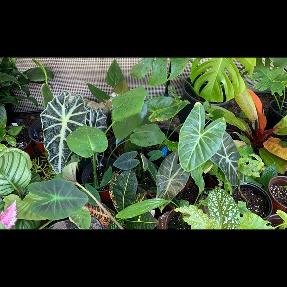 Meet your Posher, Hanna - Picture 6 of 7